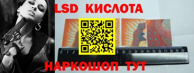 крисы Боровичи