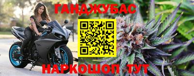 PSILOCYBIN Кунгур