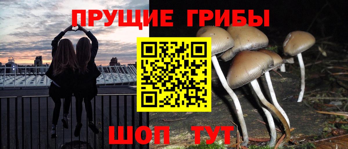 Псилоцибиновые грибы мухоморы Кизилюрт